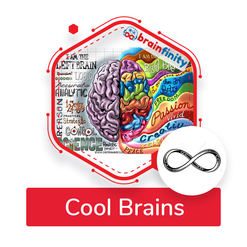 cool brains